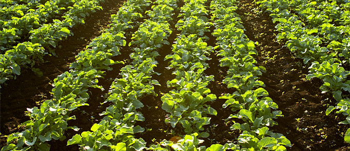 201903291559235c9dd05b5a07e