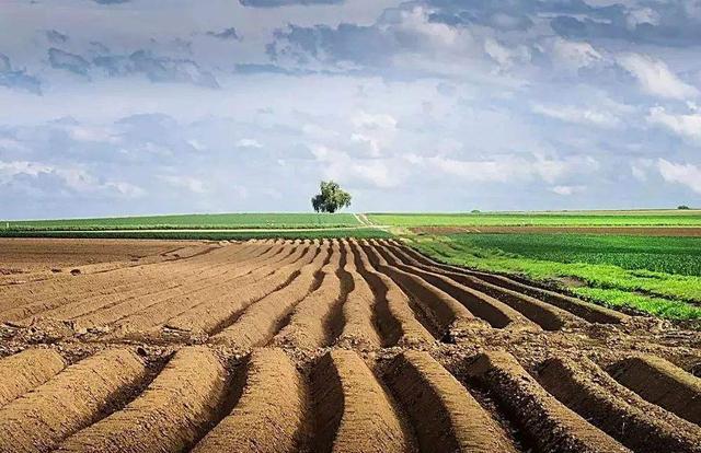 2021012813380960124dc15d61d